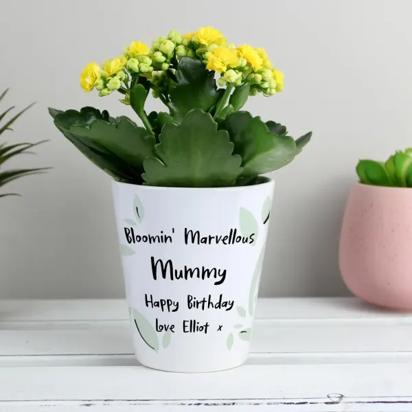 Personalised Ceramic Plant Pot, Funny Pun Botanical Desk Decor, Grandad Birthday Gift