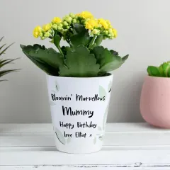 Personalised Ceramic Plant Pot, Funny Pun Botanical Desk Decor, Grandad Birthday Gift thumbnail 1