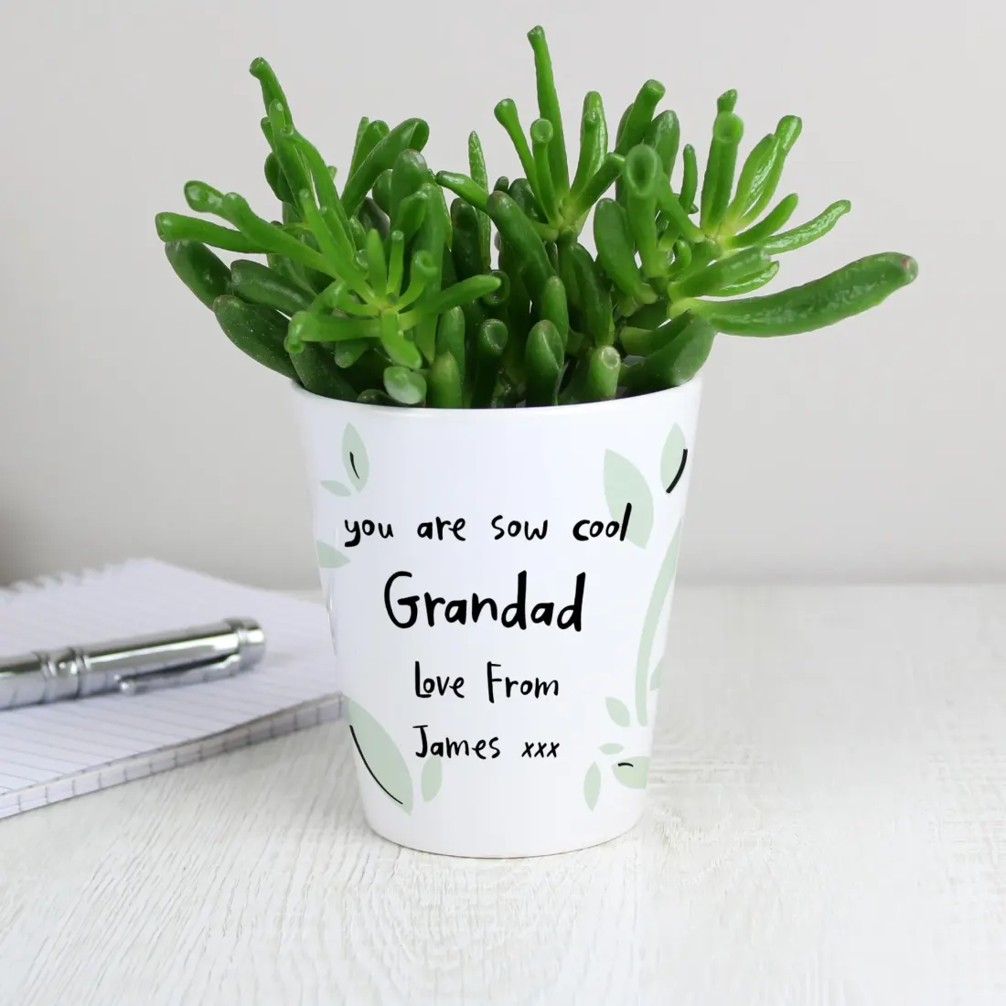 Personalised Ceramic Plant Pot, Funny Pun Botanical Desk Decor, Grandad Birthday Gift — photo 3