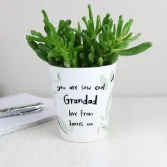 Personalised Ceramic Plant Pot, Funny Pun Botanical Desk Decor, Grandad Birthday Gift thumbnail 3