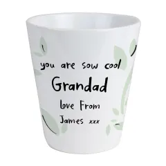 Personalised Ceramic Plant Pot, Funny Pun Botanical Desk Decor, Grandad Birthday Gift thumbnail 4