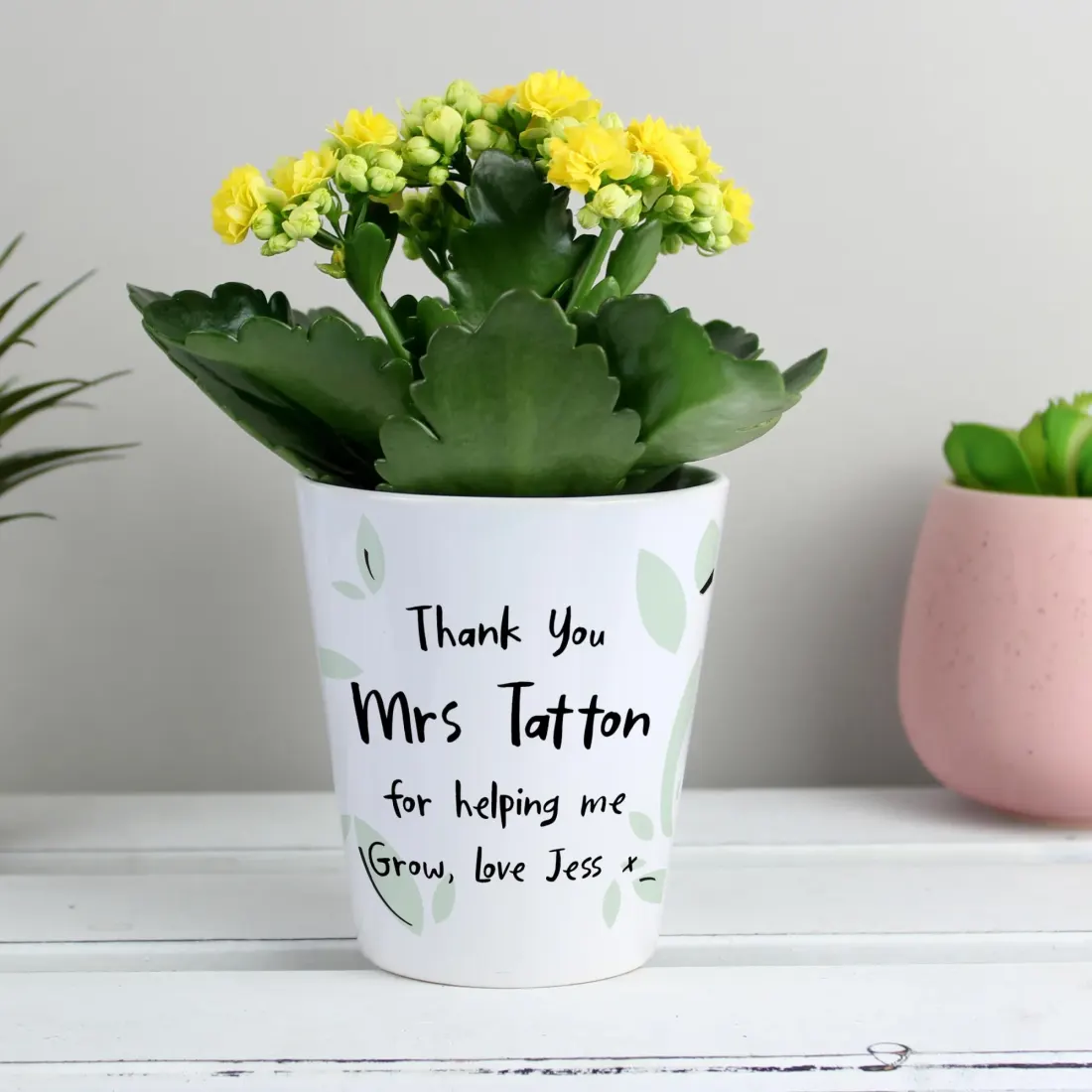 Personalised Ceramic Plant Pot, Funny Pun Botanical Desk Decor, Grandad Birthday Gift — photo 5