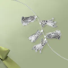 Pet Photo Charm Necklace with 5 Engraved Charms for Dog and Cat Lovers thumbnail 2