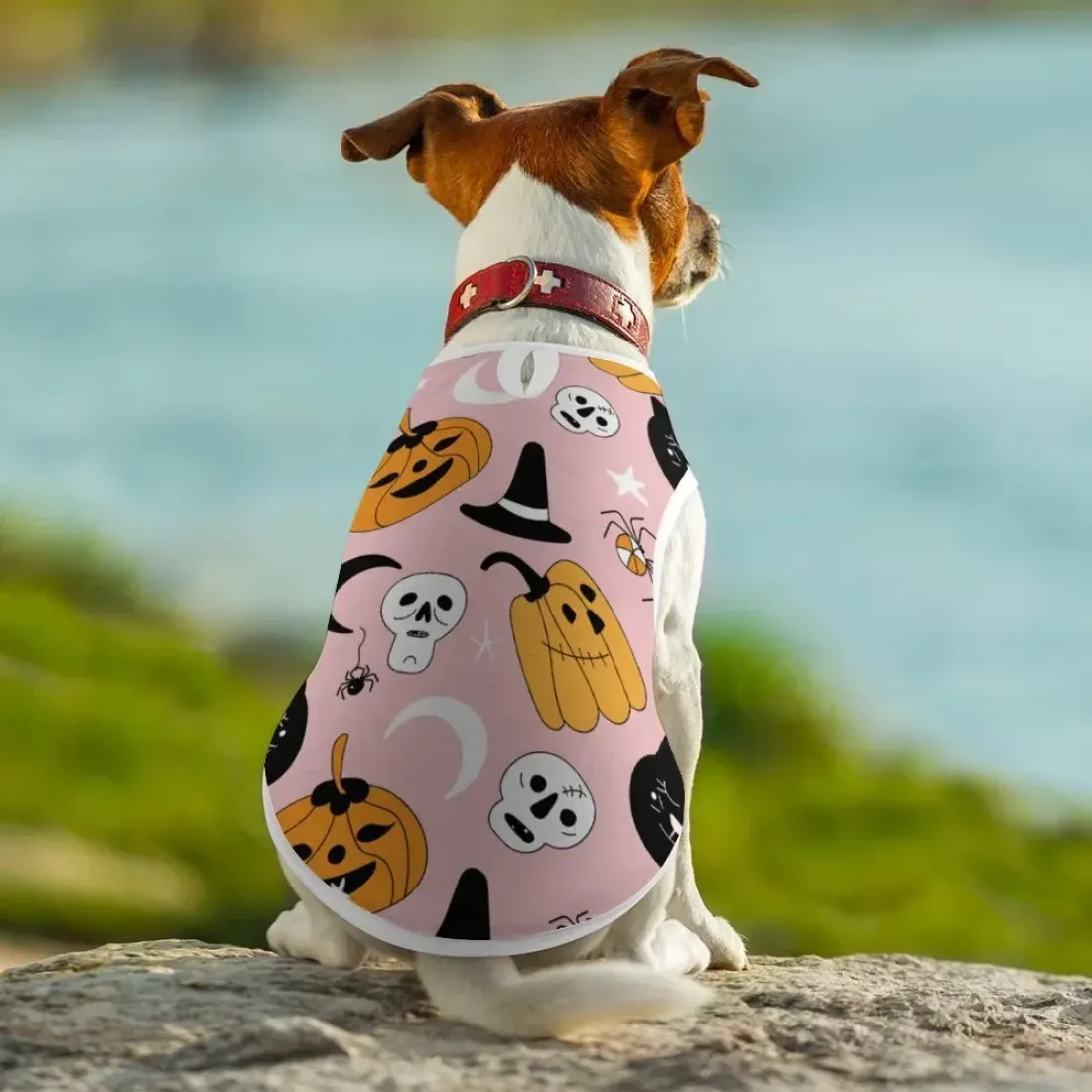 Full Print Pet Vest (CWBX) — photo 3
