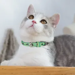 Pet collar (Q025 ) thumbnail 1