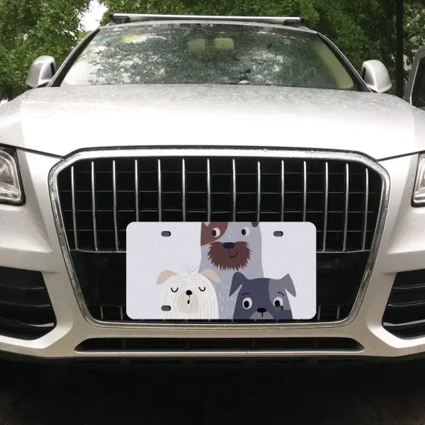 License Plate 15 cm x 30 cm