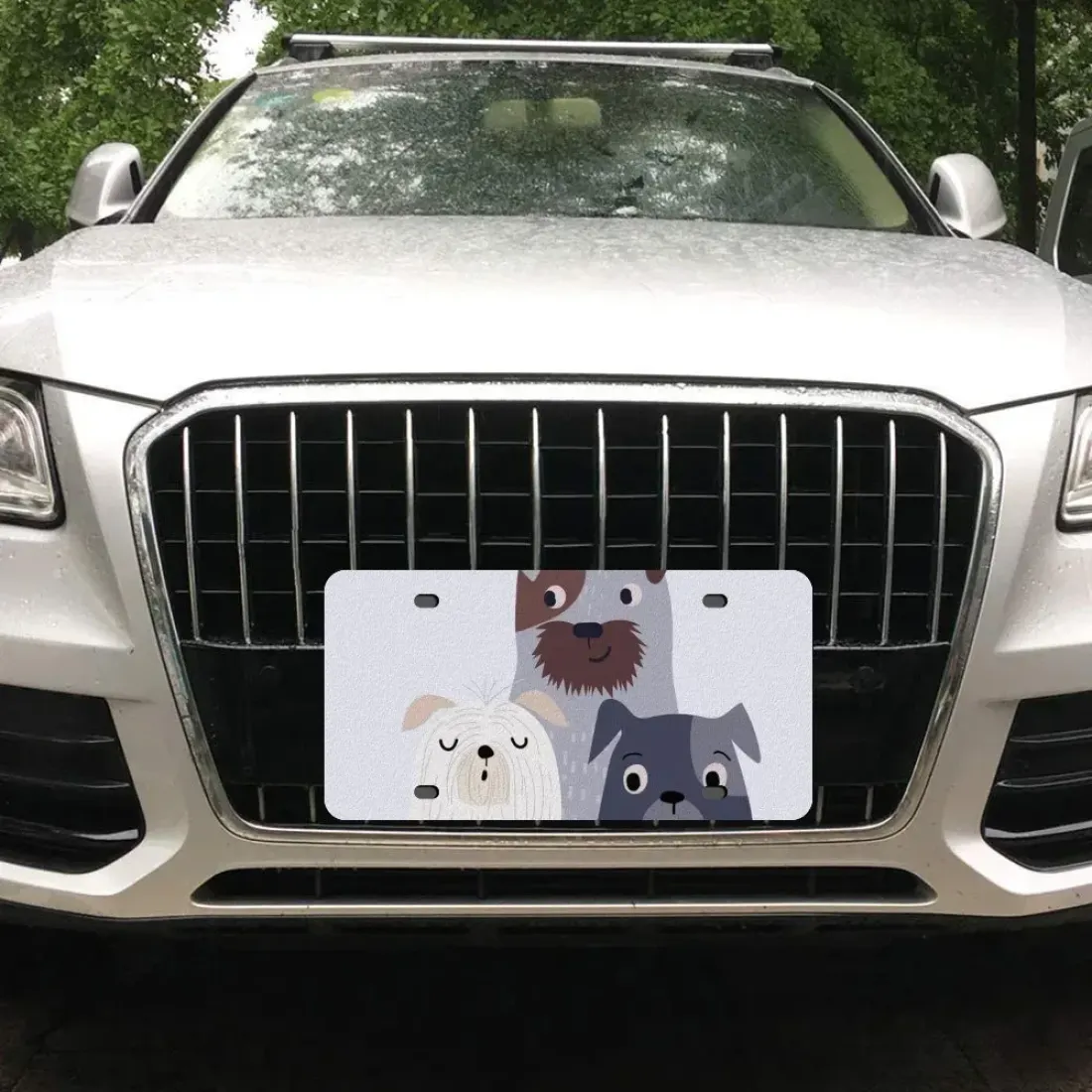 License Plate 15 cm x 30 cm