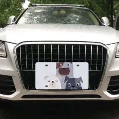 License Plate 15 cm x 30 cm thumbnail 1