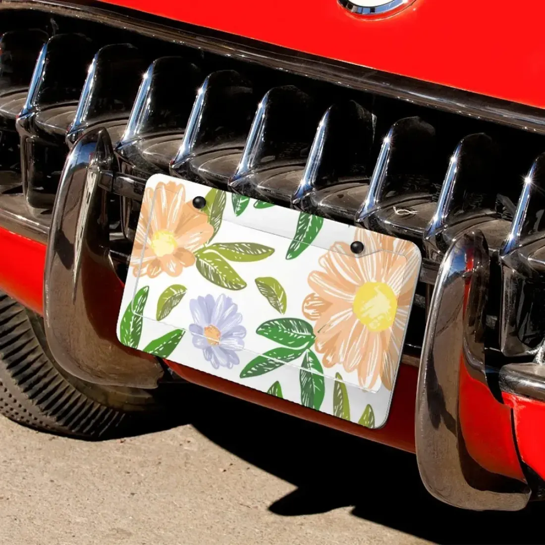 License Plate & Frame Set - 2 Round Holes