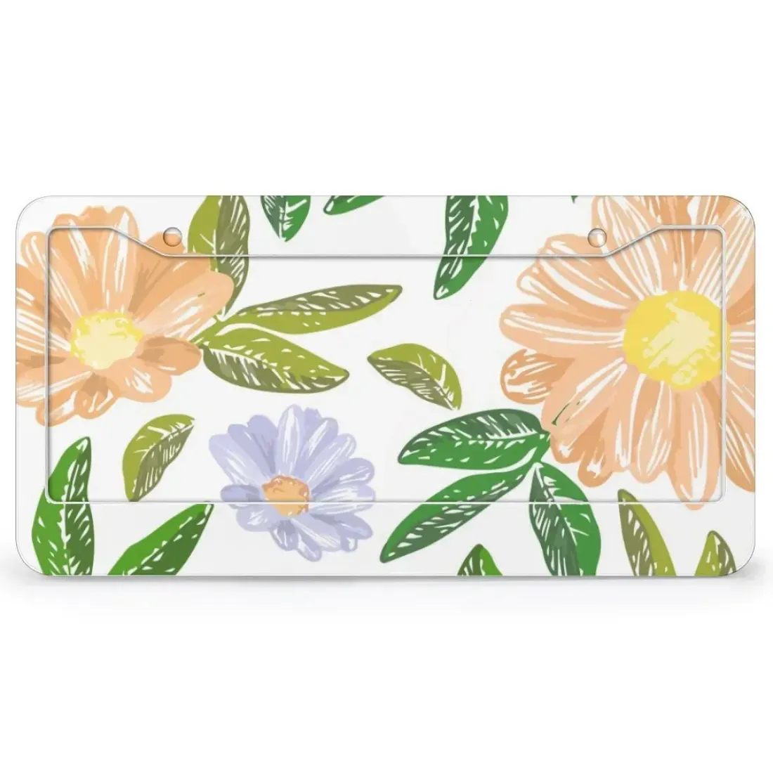 License Plate & Frame Set - 2 Round Holes — photo 3
