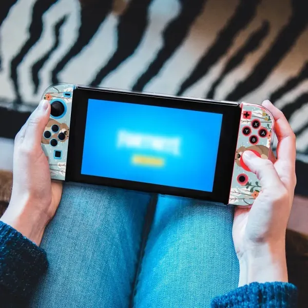Nintendo Game Console Protective Case