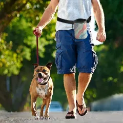 Pet Training Package (A007) thumbnail 1