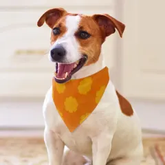 Pet Scarf thumbnail 1