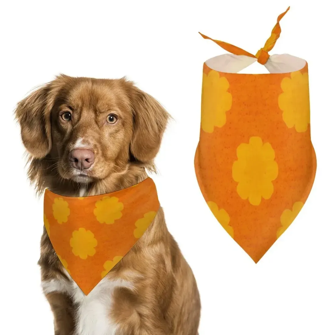 Pet Scarf — photo 2