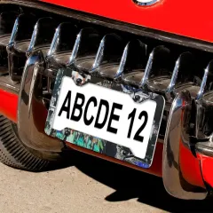 License Plate Frame - 4 Round Holes (Set of 2) thumbnail 1