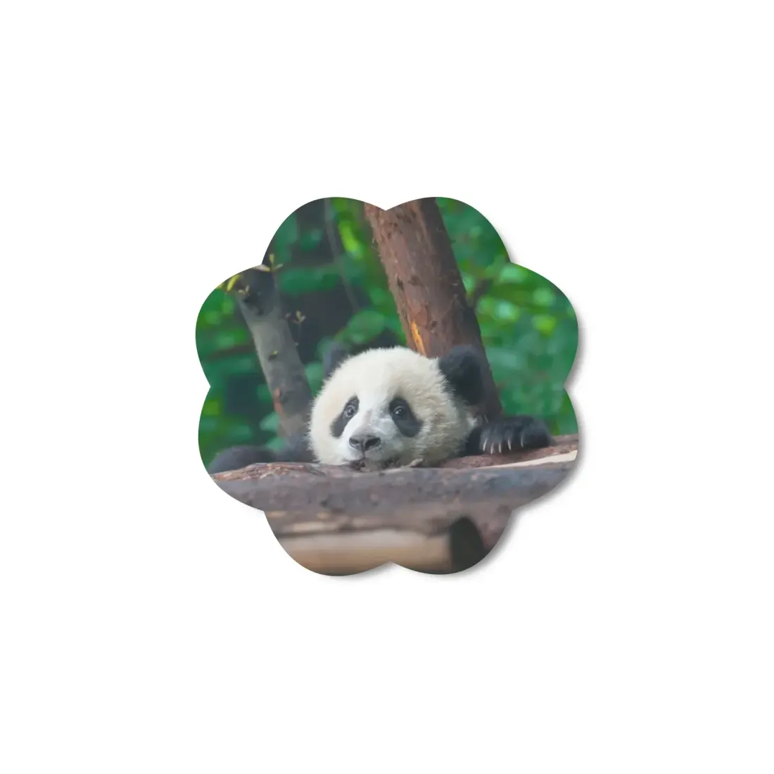 Custom Fridge Magnets(2.36" x 2.36")