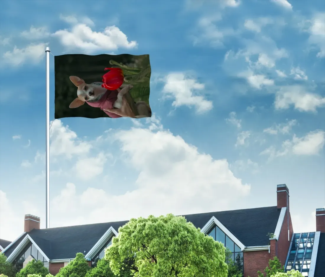 Garden Flag 28" x 40"(Twin Sides) — photo 4